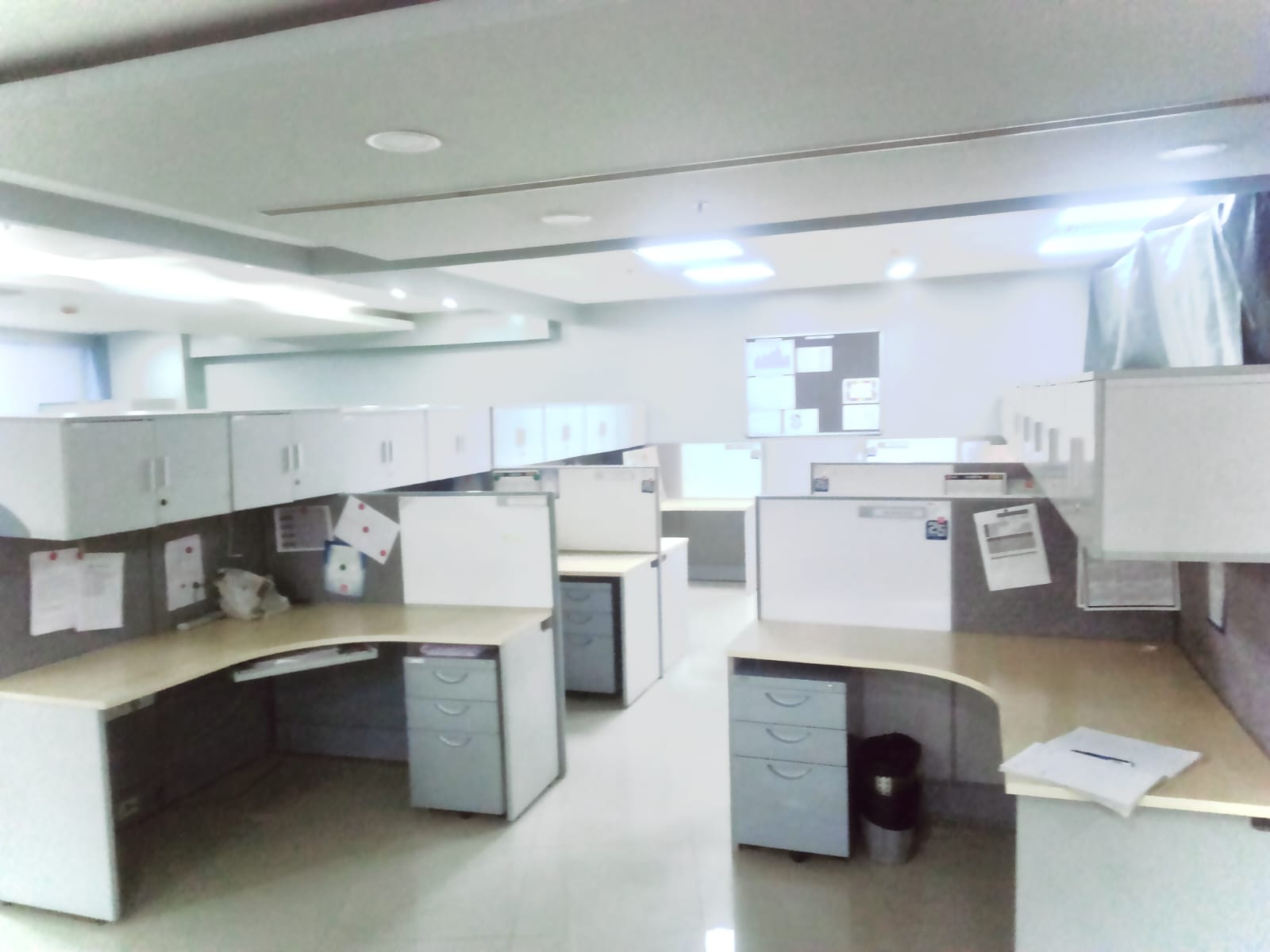 Commercial Project 1